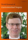 World Journal of Gastrointestinal Surgery杂志封面